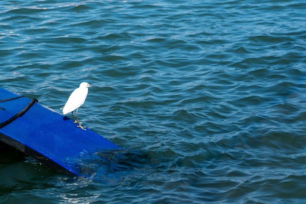 Rééquilibrage alimentaire : les clés d'une vie saine et gourmande