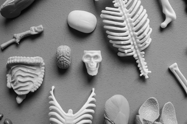 Suivre le développement de votre bébé grâce aux applications de grossesse